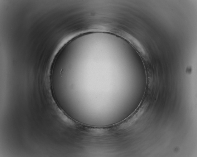 X0000103271192200809051500
