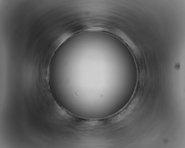 X0000103271193200809051500