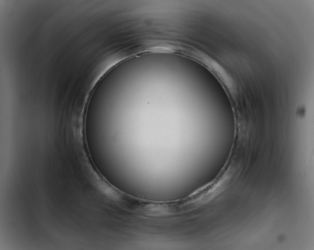X0000103271194200809051500