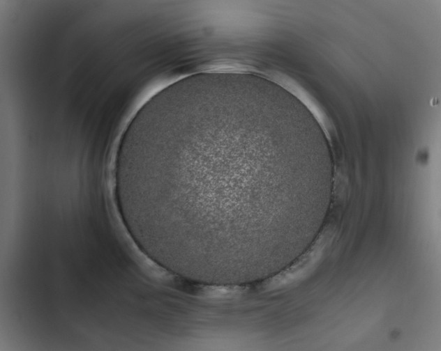 X0000103271195200809051500