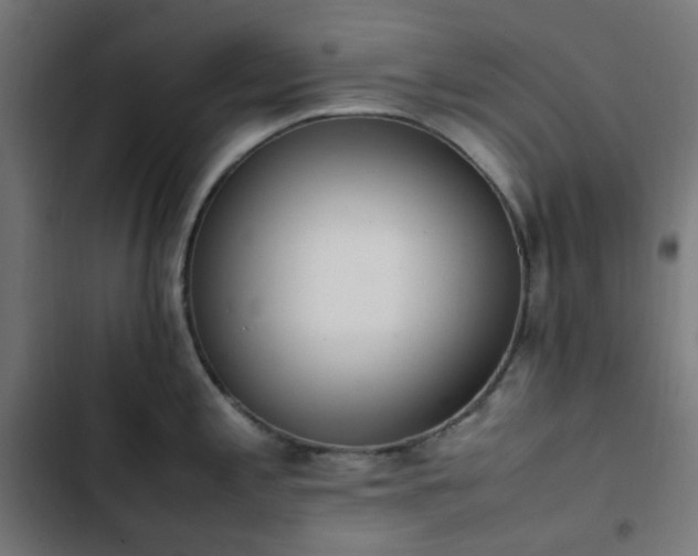 X0000103271197200809051500