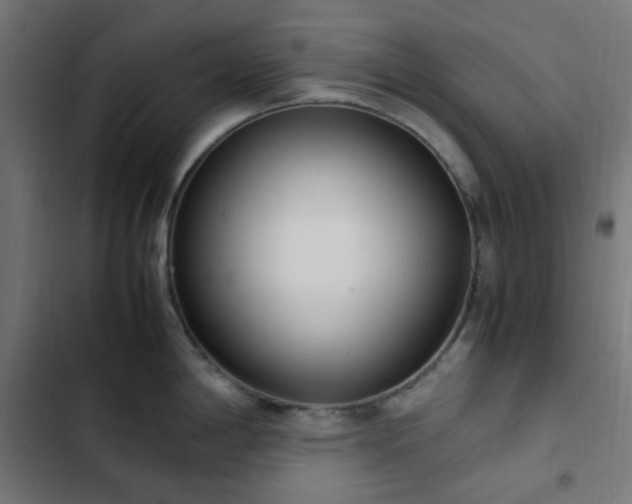 X0000103271198200809051500