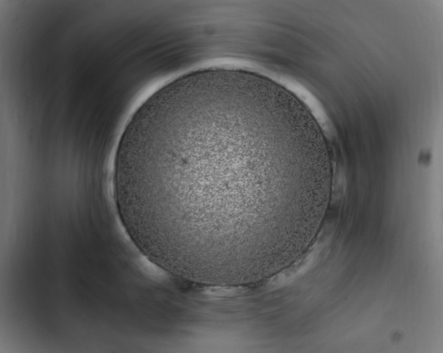 X0000103271199200809051500