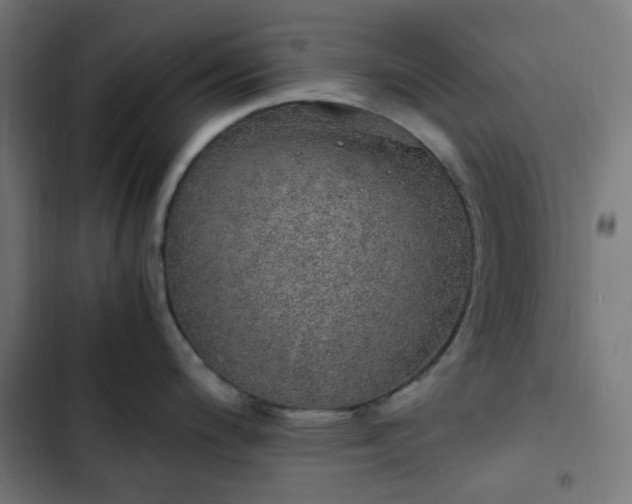 X0000103271200200809051500
