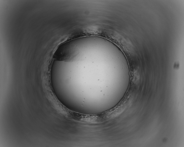 X0000103271201200809051459