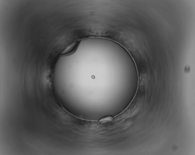 X0000103271202200809051459