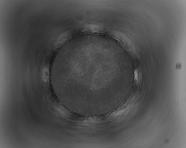 X0000103271203200809051459