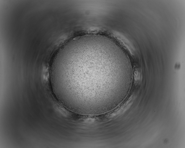 X0000103271204200809051459