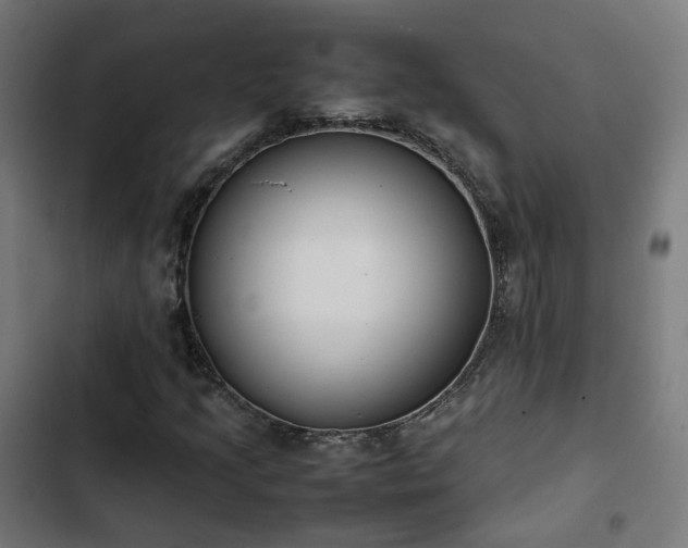 X0000103271205200809051459