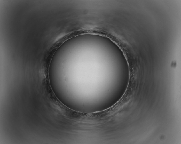 X0000103271206200809051459