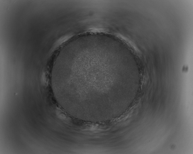 X0000103271207200809051459