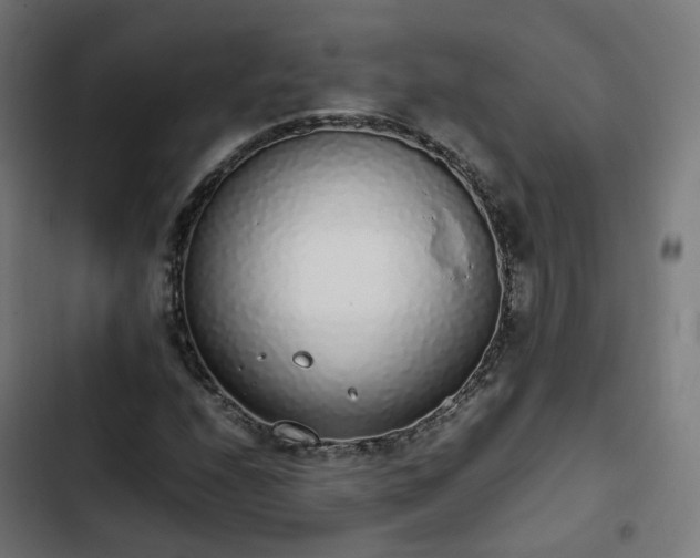 X0000103271208200809051459