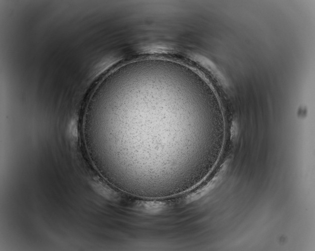 X0000103271209200809051459