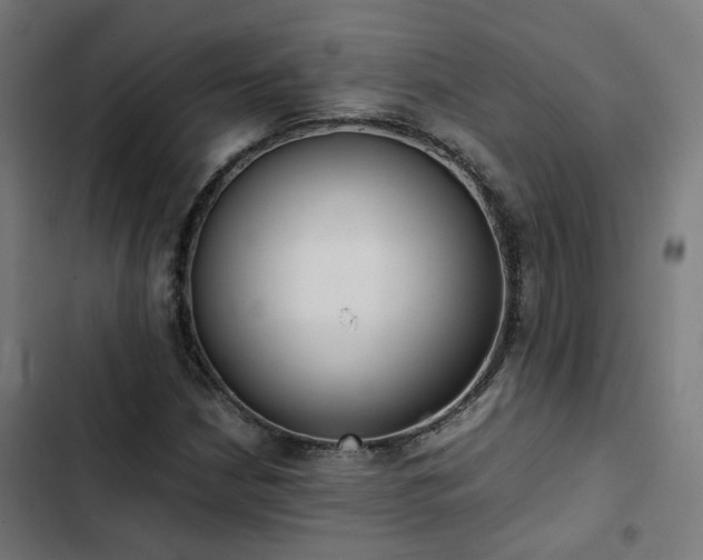 X0000103271210200809051459