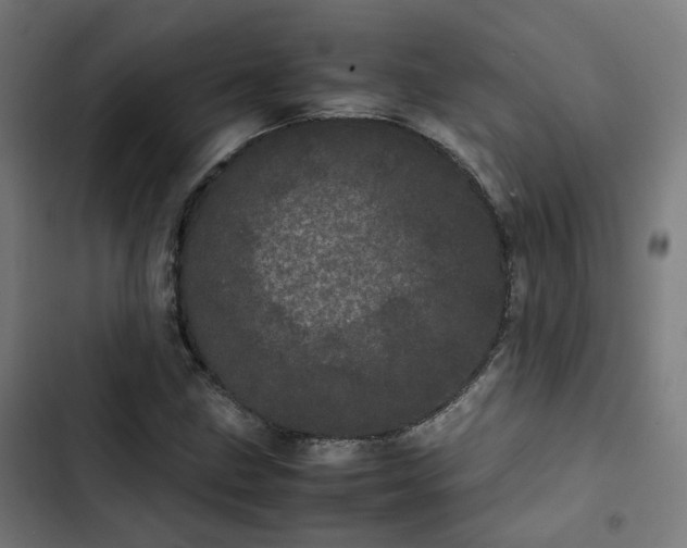 X0000103271211200809051459