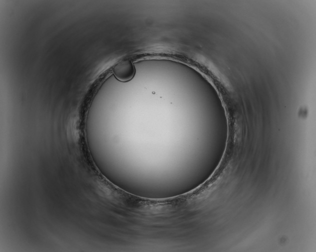 X0000103271213200809051459