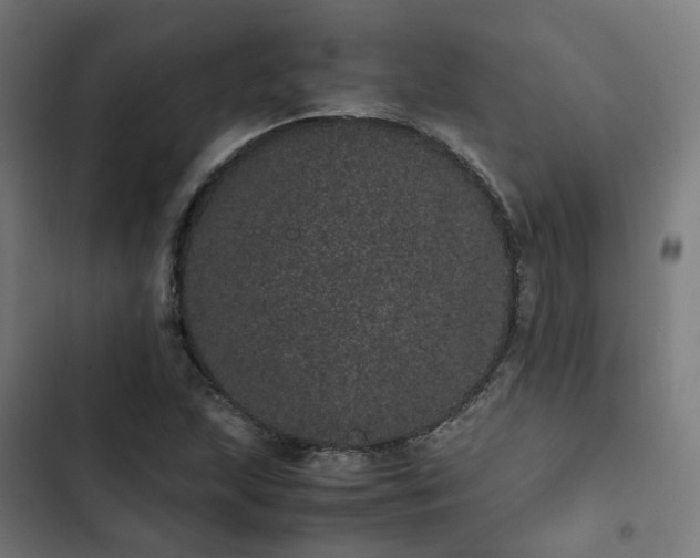 X0000103271215200809051459