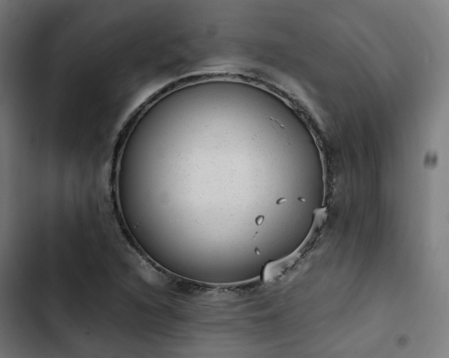 X0000103271216200809051459