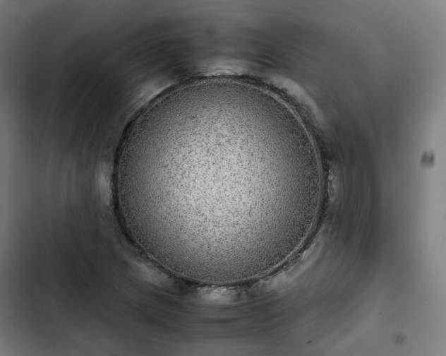 X0000103271217200809051459