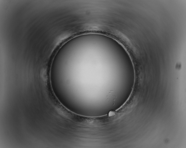 X0000103271218200809051459