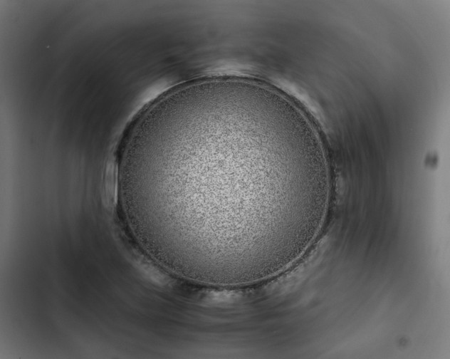 X0000103271219200809051459