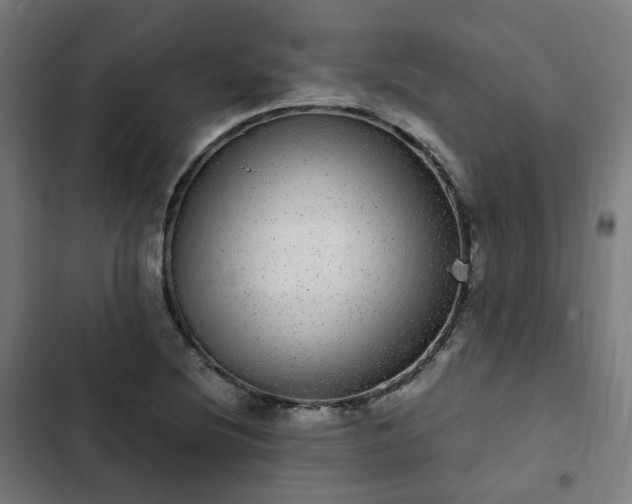 X0000103271220200809051459