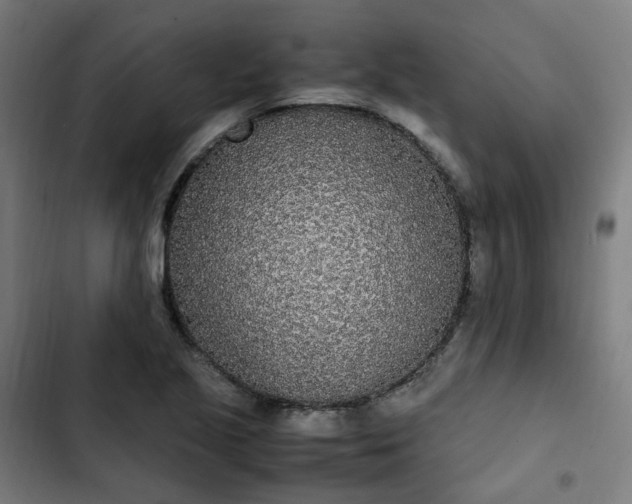 X0000103271221200809051459