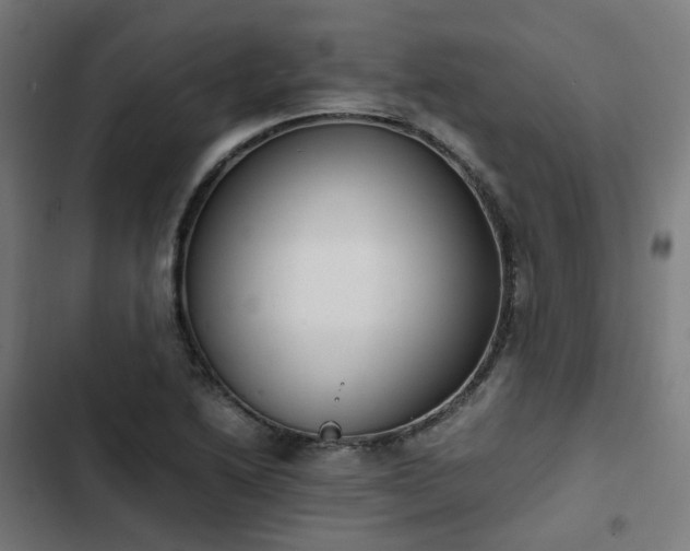 X0000103271222200809051459