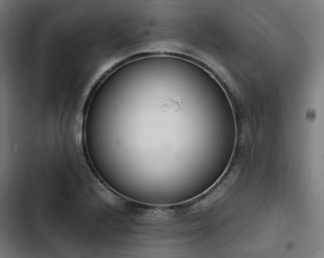 X0000103271224200809051459
