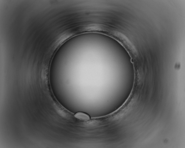 X0000103271225200809051459