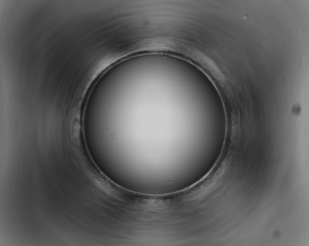 X0000103271226200809051459