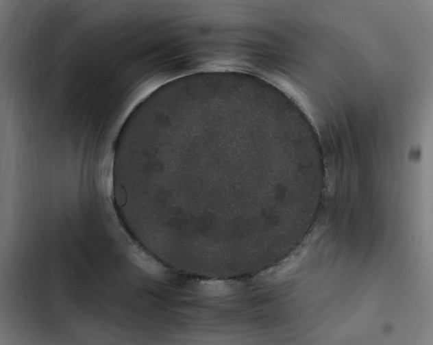 X0000103271227200809051459