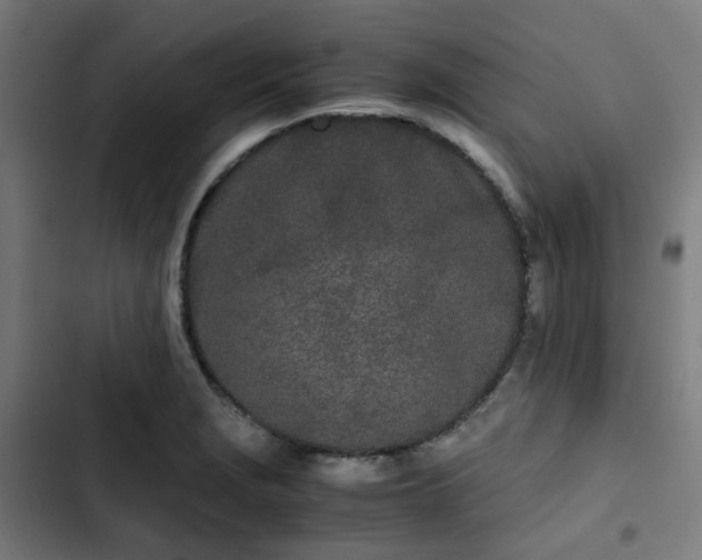 X0000103271229200809051459