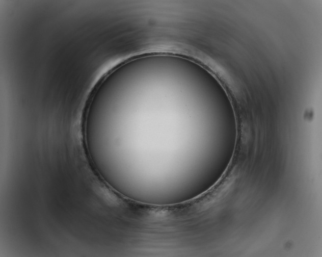 X0000103271230200809051459