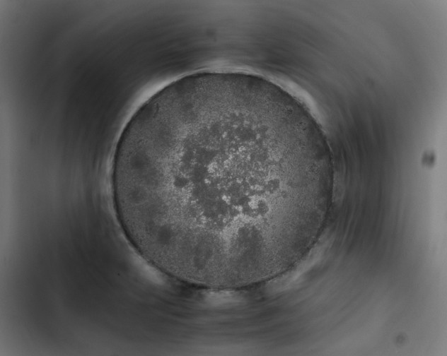 X0000103271231200809051459