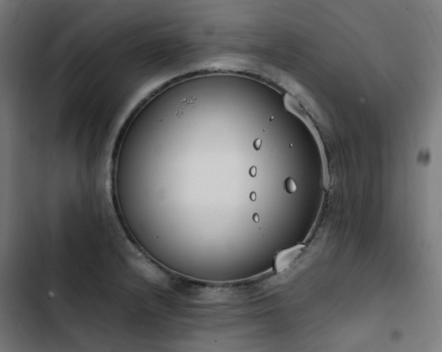 X0000103271232200809051459