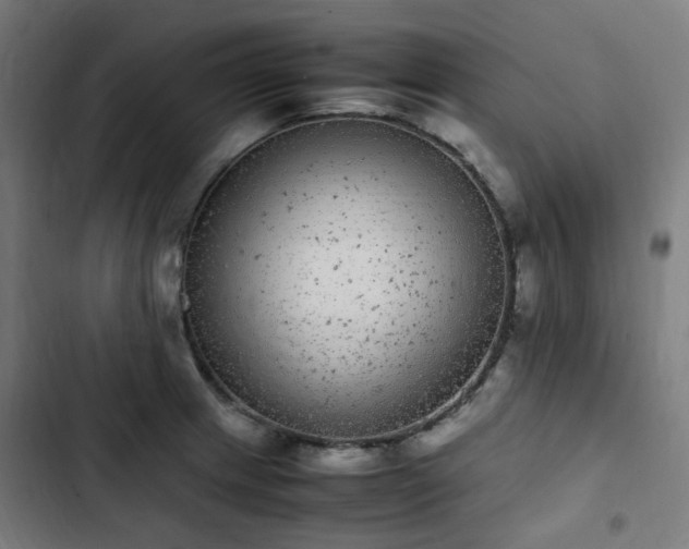 X0000103271233200809051459