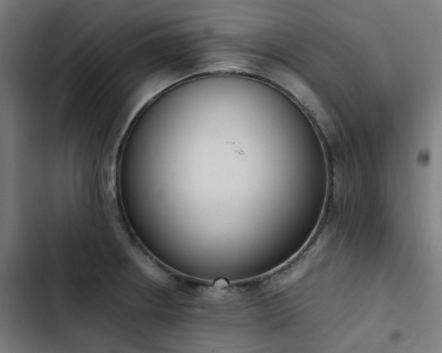 X0000103271234200809051459