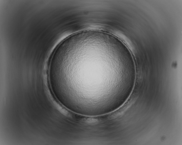 X0000103271235200809051459