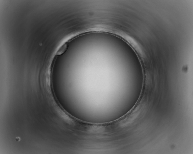 X0000103271238200809051459