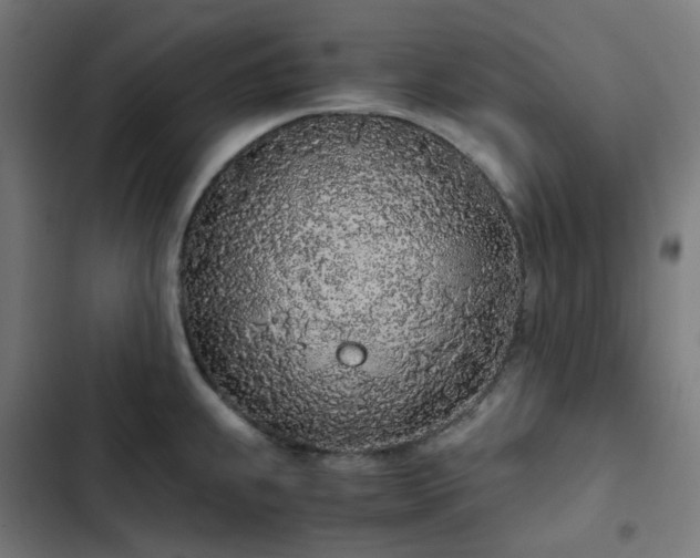 X0000103271239200809051459