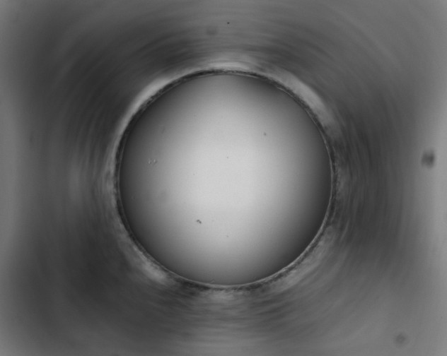X0000103271240200809051459