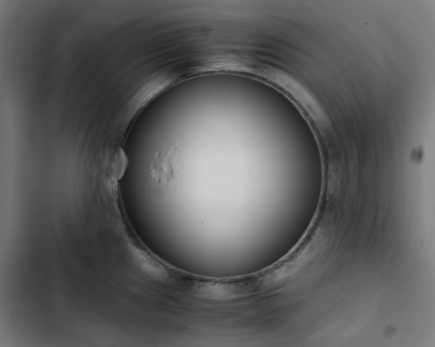 X0000103271241200809051459