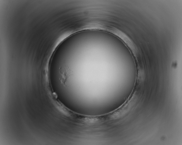 X0000103271242200809051459
