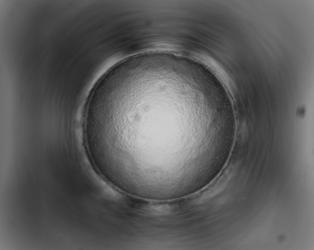X0000103271243200809051459