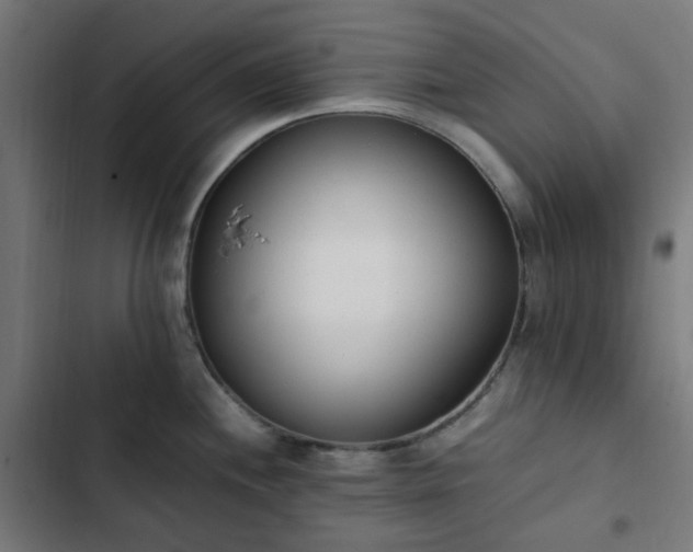 X0000103271244200809051459