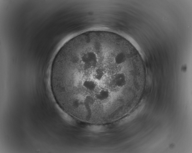 X0000103271245200809051459