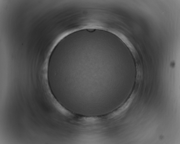 X0000103271246200809051459