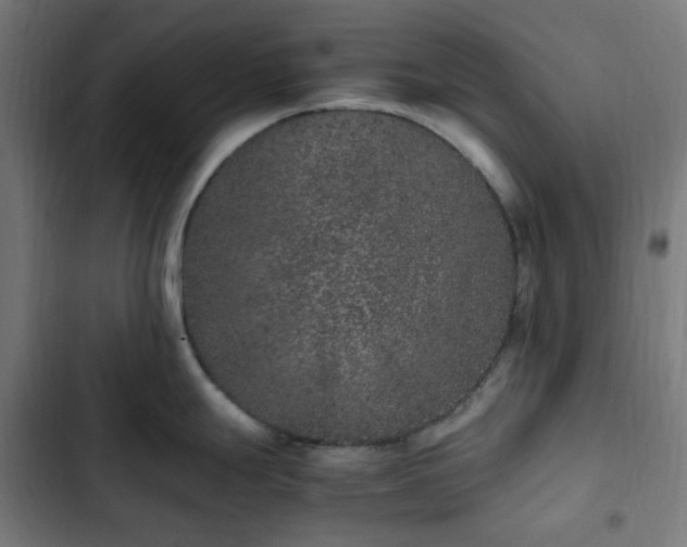 X0000103271247200809051459