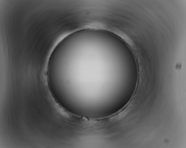 X0000103271248200809051459